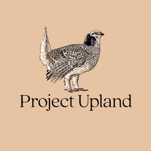 Close up of sharptail grouse shirt design