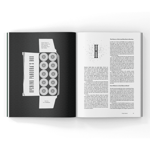 Shotgun-Magazine steel shot ballistics in a magazine