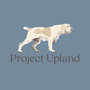 close up of the Spinone dog design