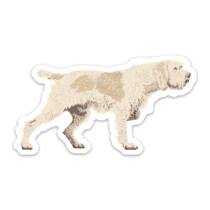 A weatherproof Spinone Italiano sticker