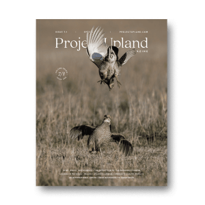 Spring 2025 cover of Project Upland Magazine