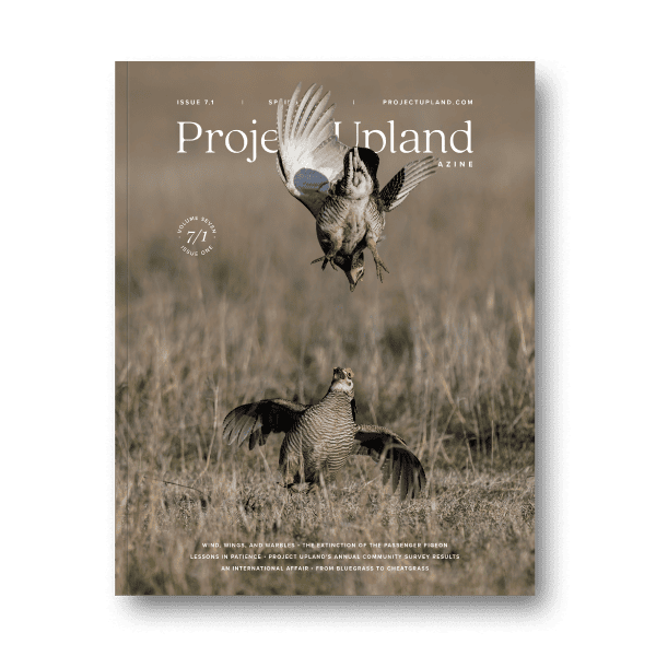 Spring-2025-Cover Spring 2025 cover of Project Upland Magazine