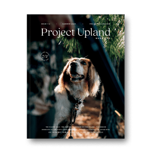 The cover of the Summer 2025 issue of Project Upland Magazine featuring an English Cocker spaniel.