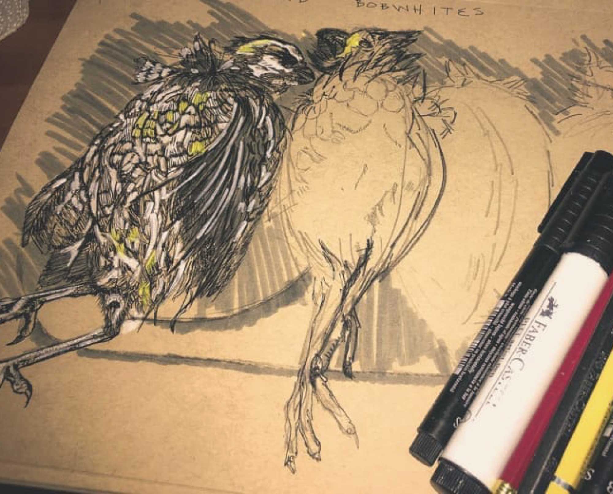 an art teacher making a drawing from the gun dig training field.