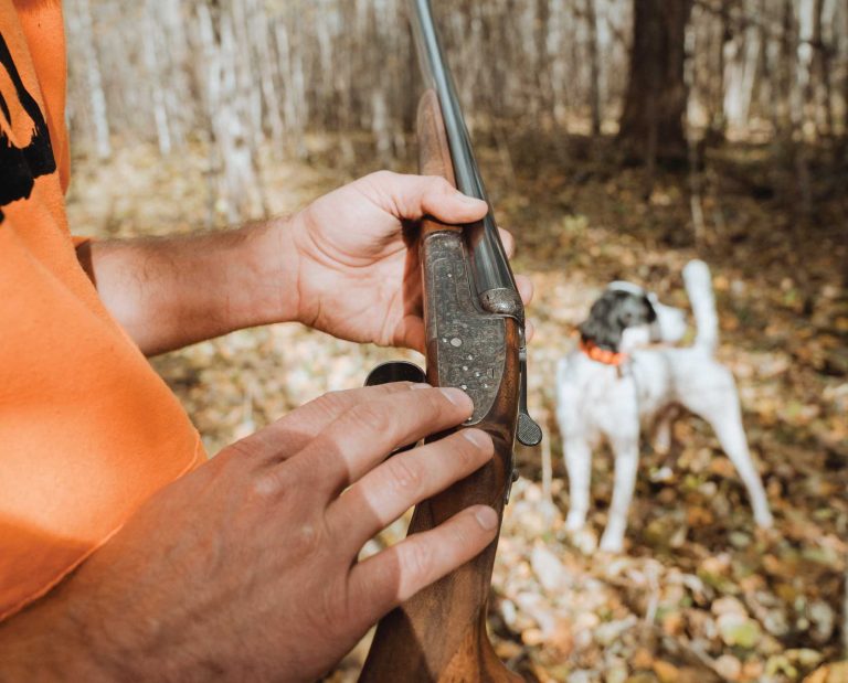 An AYA No. 2 sidelock shotgun