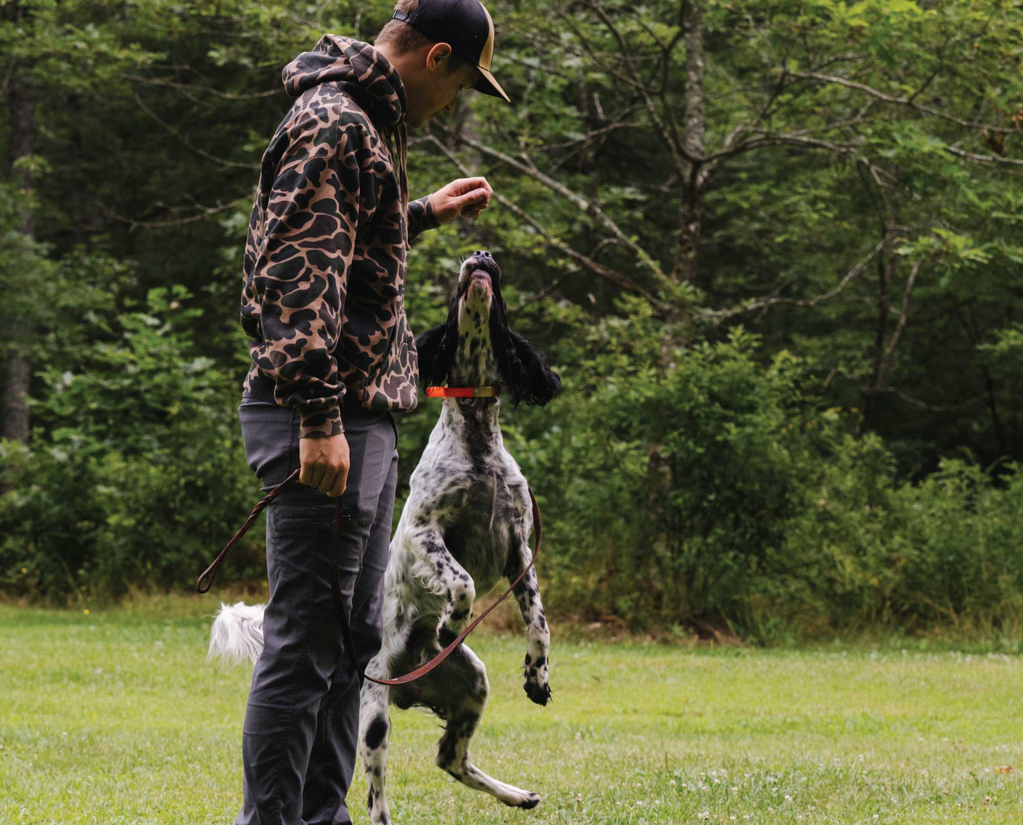 A dog in an excited mental state durning dog training