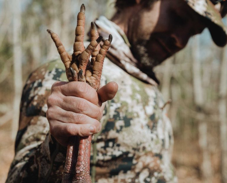 A turkey hunter successfully shoots a turkey.