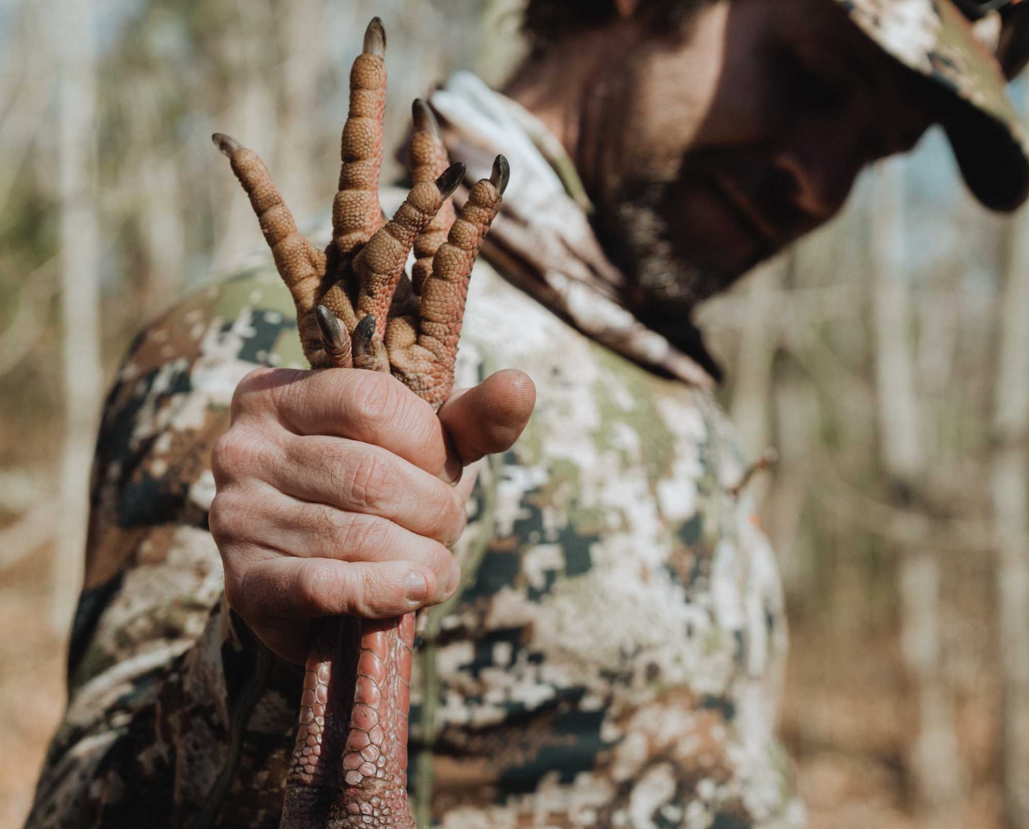 A turkey hunter successfully shoots a turkey.