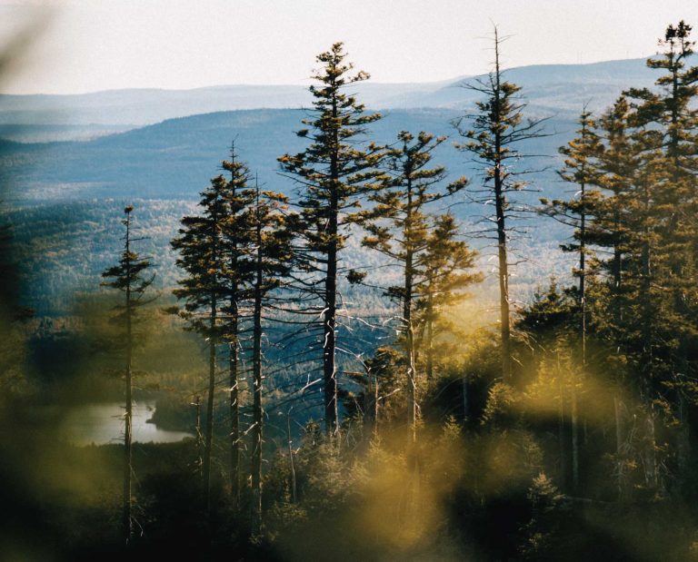 Image of large unmapped area of the United States wilderness