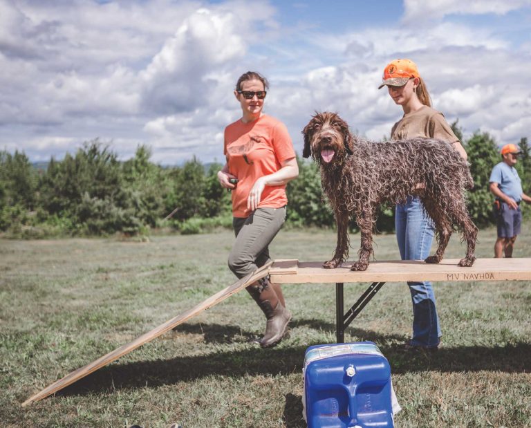 An instructor teaching a teenager during the NAVHDA Youth Program