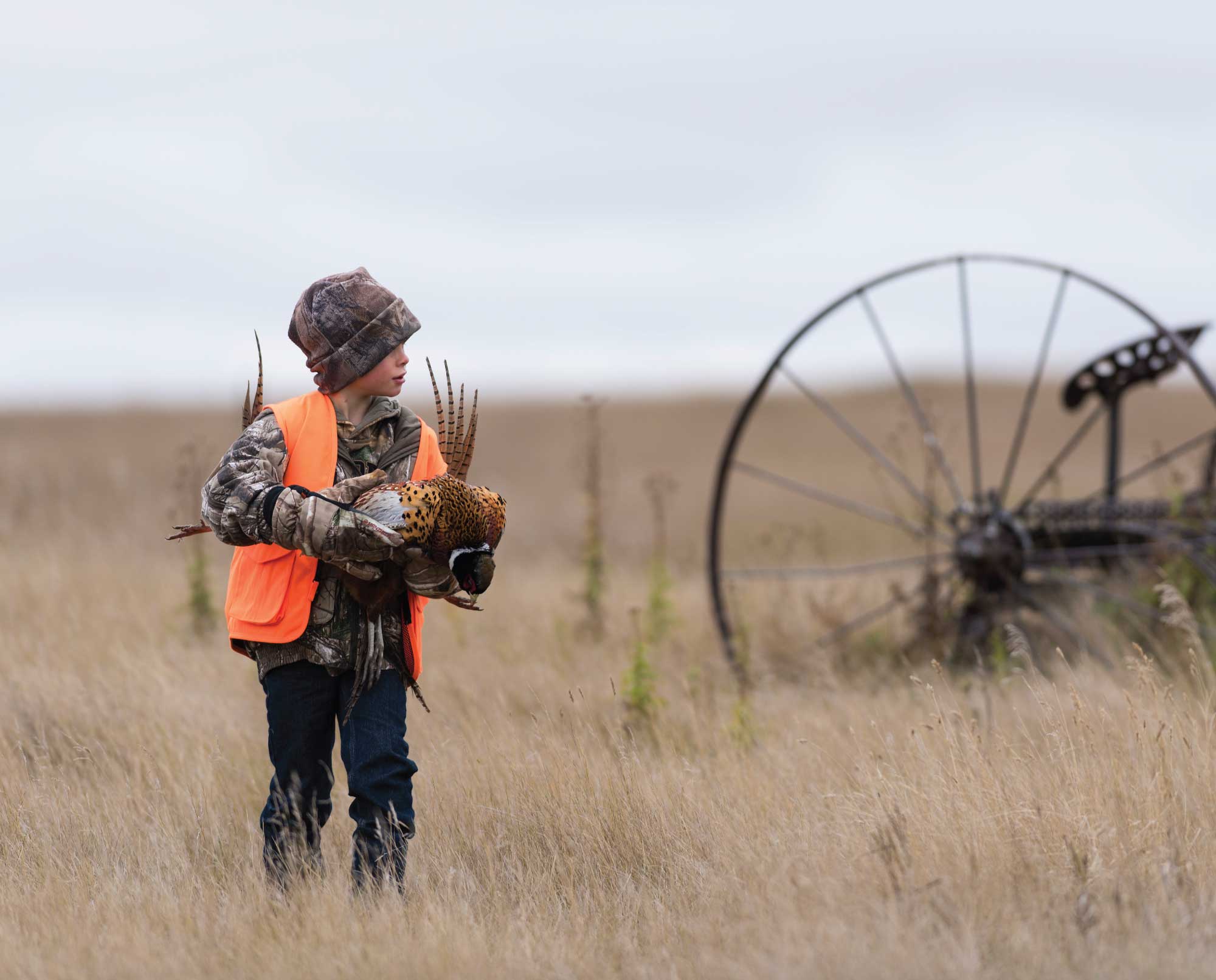 A child carries pheasant on a bird hunting trip.