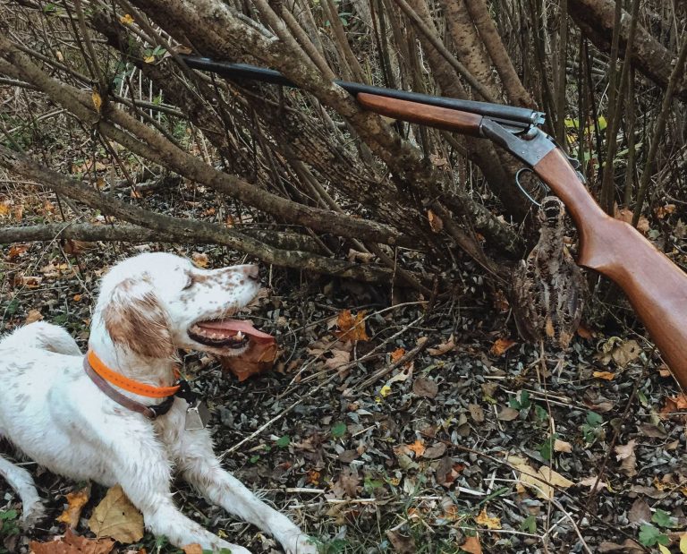 A day bird hunting with the Stevens 315 side-by-side shotgun
