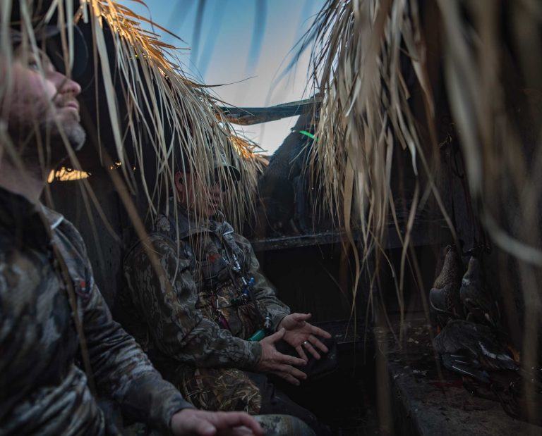 Duck hunters wait in a hunting blind with a black Labrador retriever