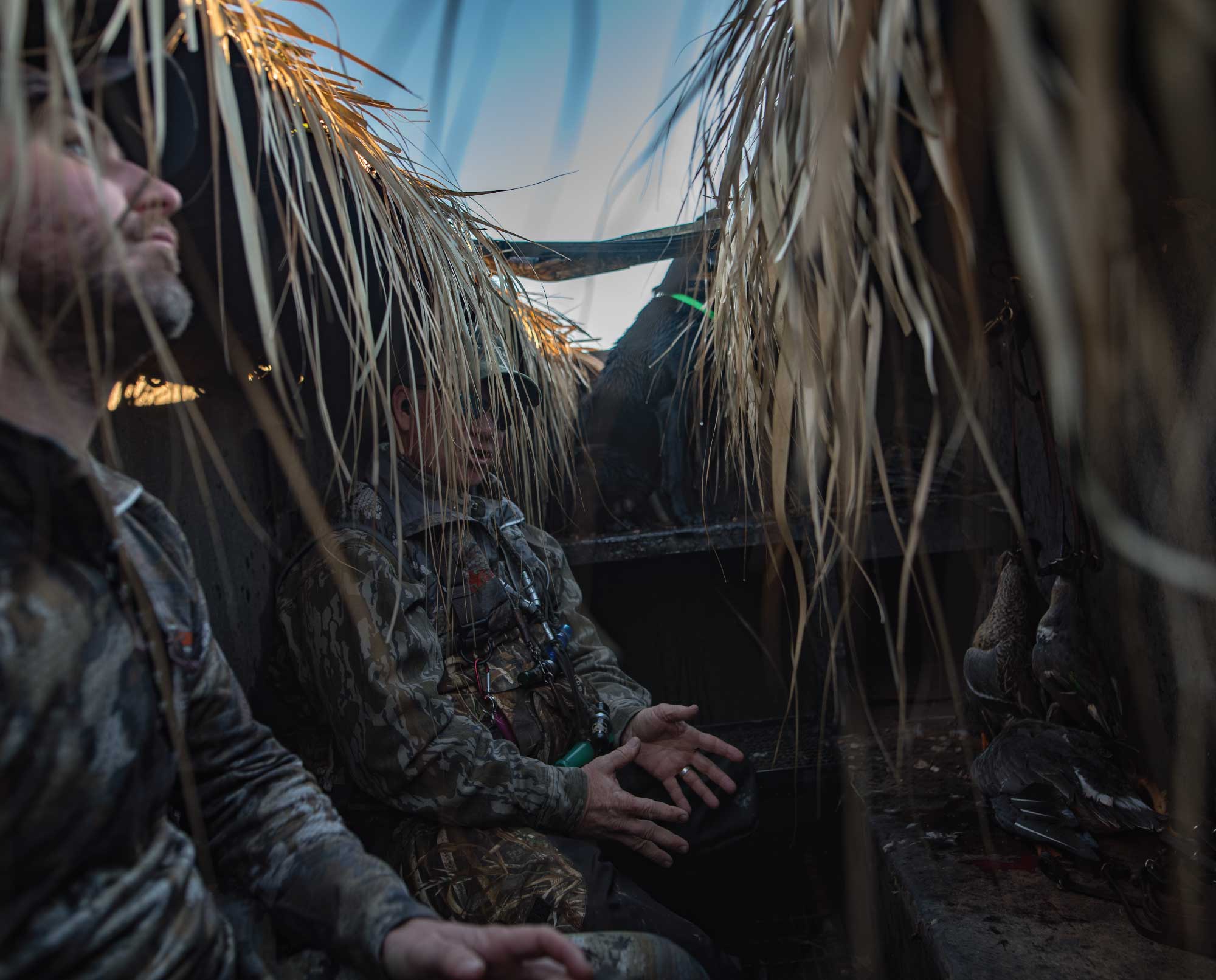 Duck hunters wait in a hunting blind with a black Labrador retriever
