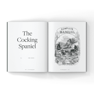 The-cocking-spaniel-in-a-magazine-article