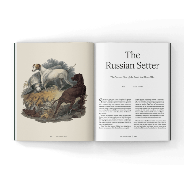 The-russian-setter-book The-russian-setter-book