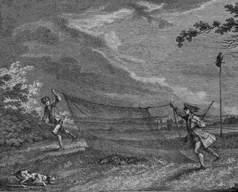 Etching of three men in a field netting partridge