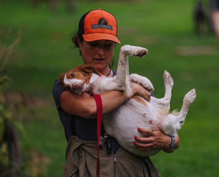 A dog training works with a dog personality while training