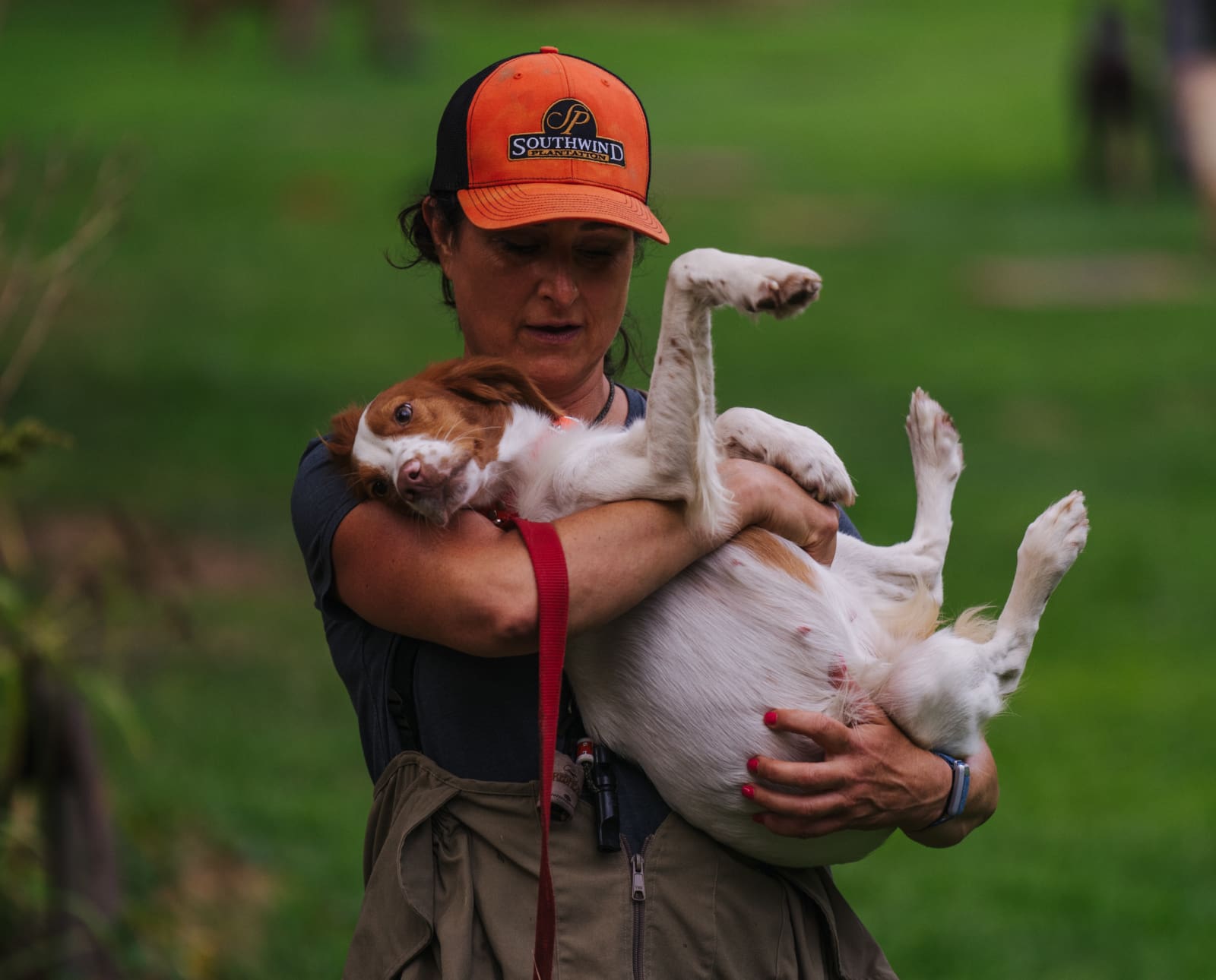 A dog training works with a dog personality while training