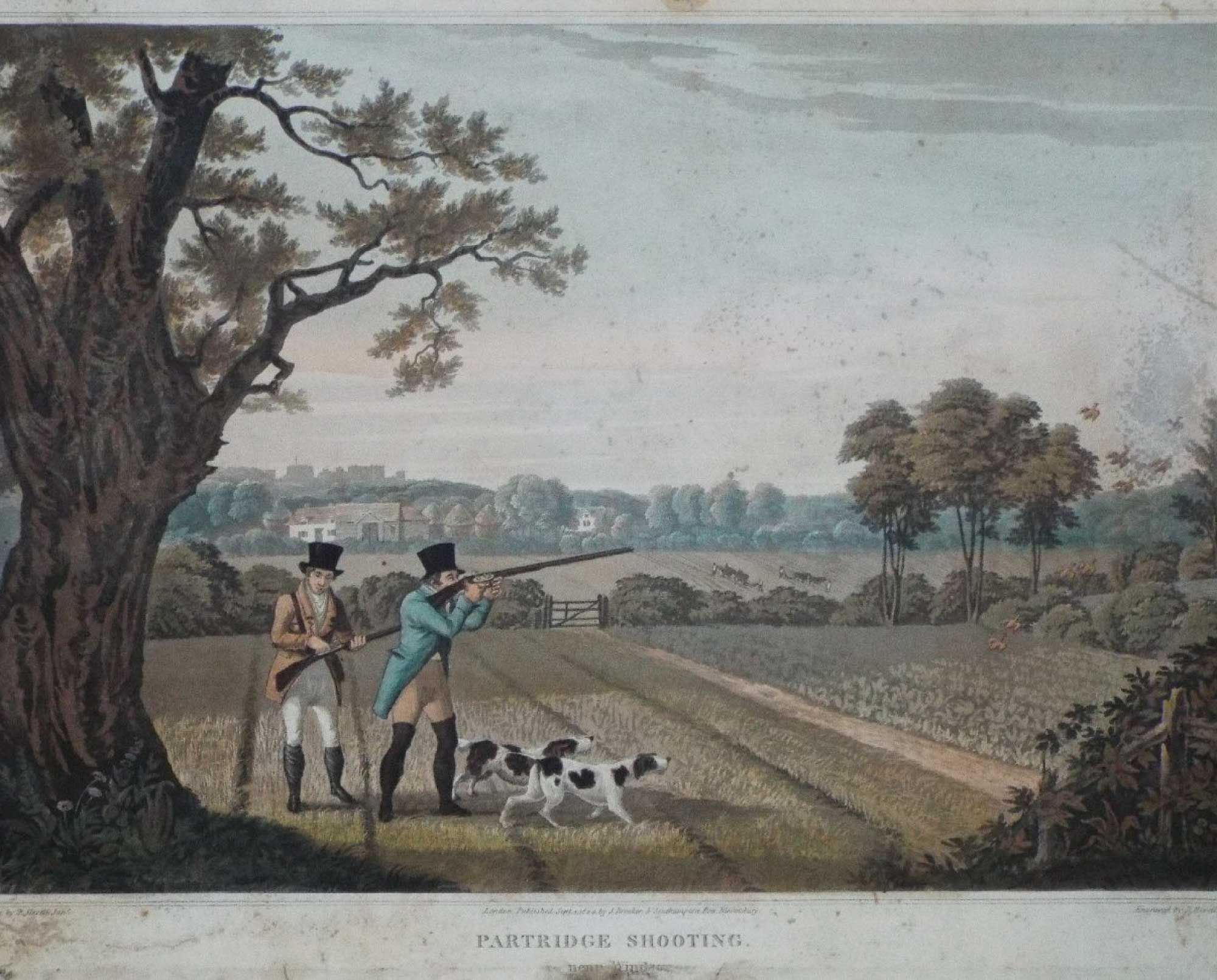 Hunters in the United Kingdom on a partridge shoot with hunting dogs