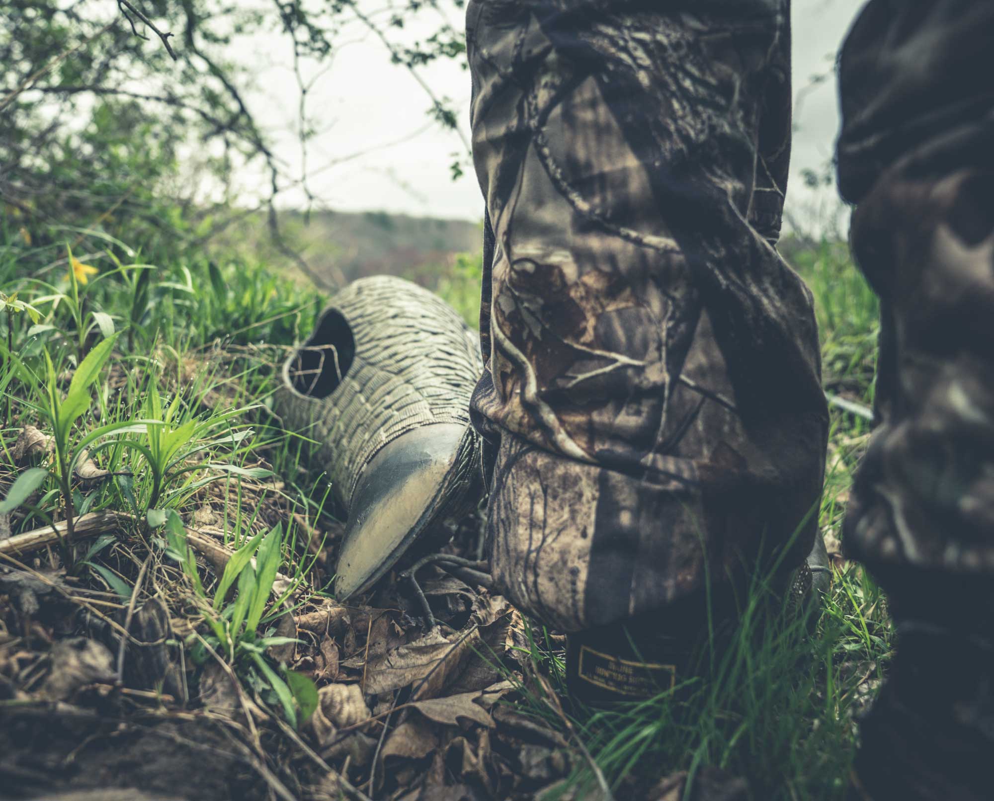 A hunter setting up turkey decoys.