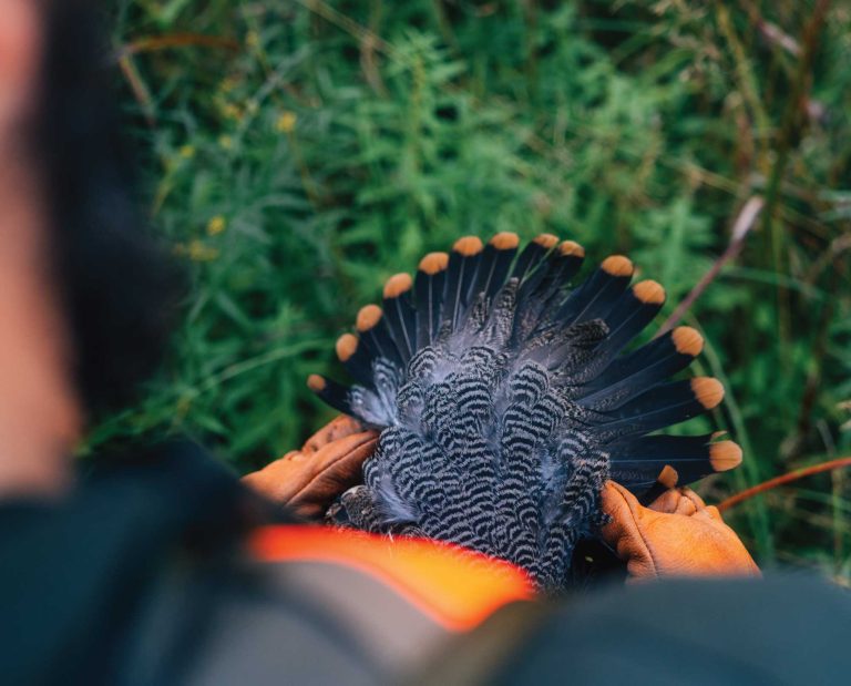 A canadian bird hunter with a spruce grouse in Ontario