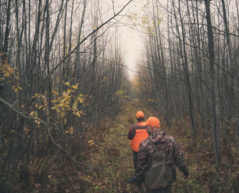 A group of bird hunters follow a dog through thick cover