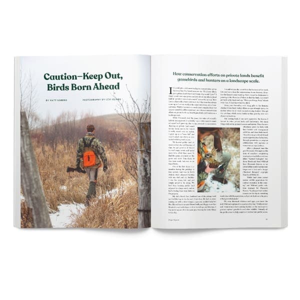 Volume-One-Issue-One-Page8 Volume-One-Issue-One-Page8