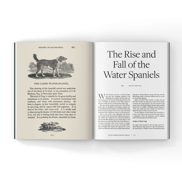 Water-spaniels-book- Water-spaniels-book-