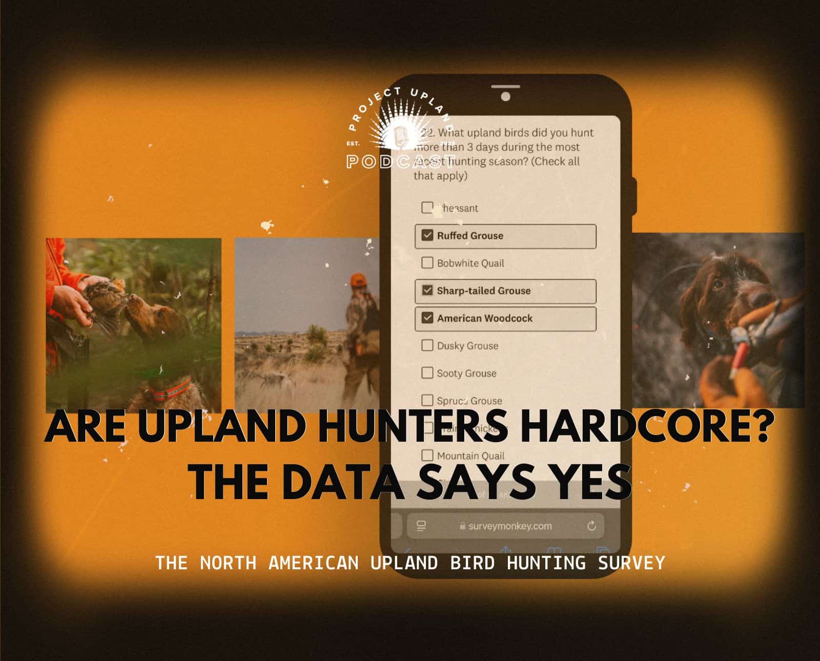 A phone showing the 2025 North American Upland Bird Hunting Survey questions.
