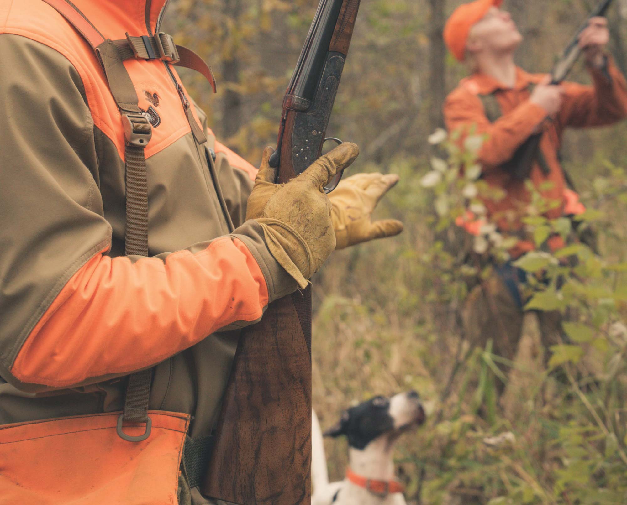 A bird hunter steadies his dog on a woodcock point.