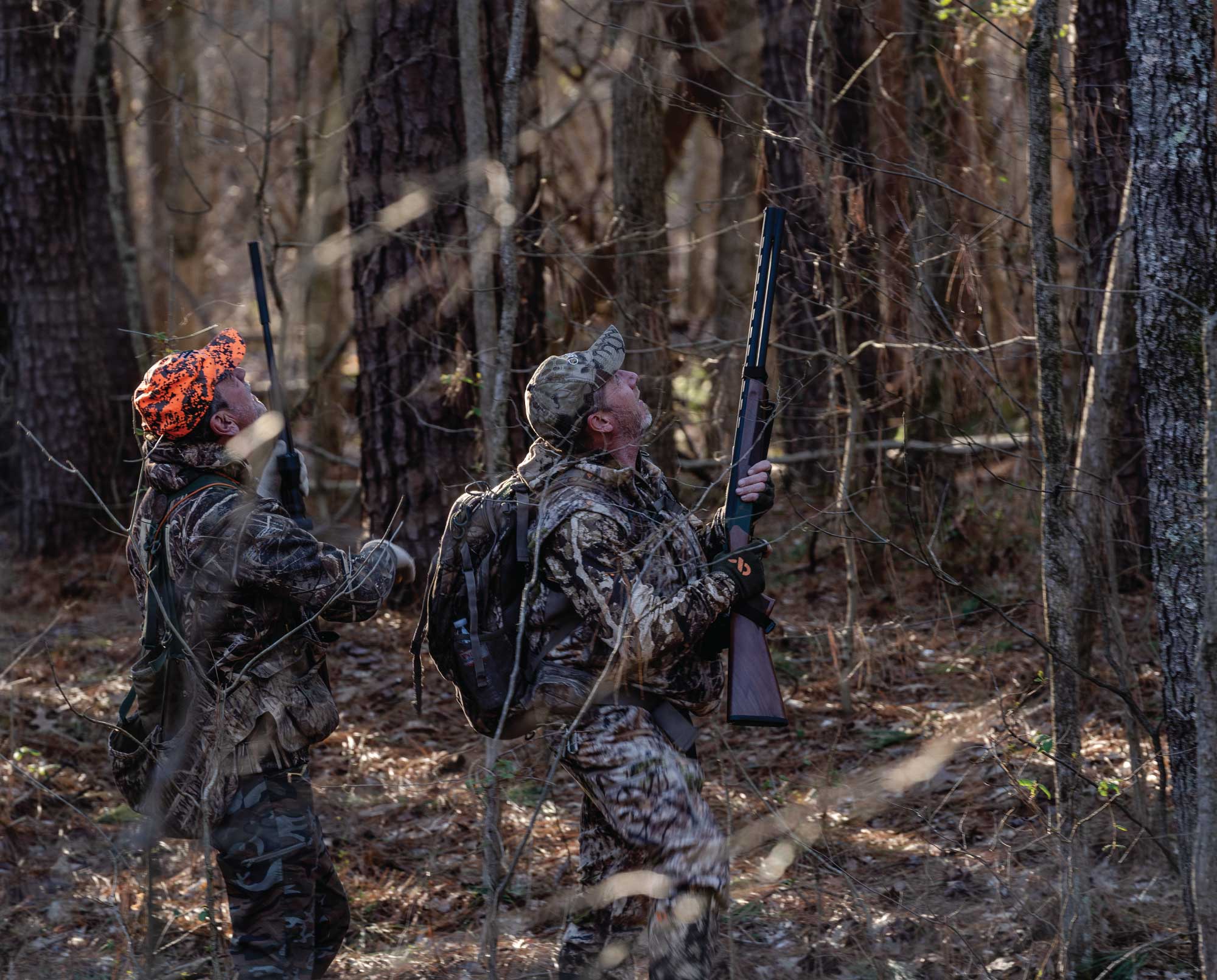 Two squirrel hunters looking up into the trees for their food.