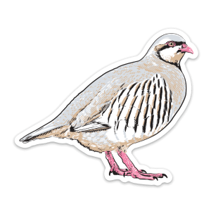 A wild chukar vinyl sticker