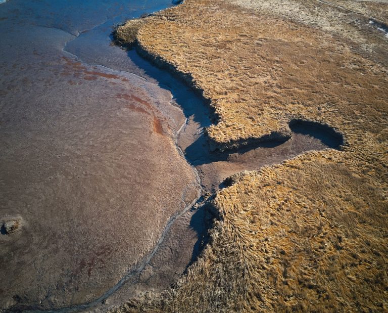 A bird's eye view of the Rachel Carson National Wildlife Refuge where a lead ammunition ban will go into place.