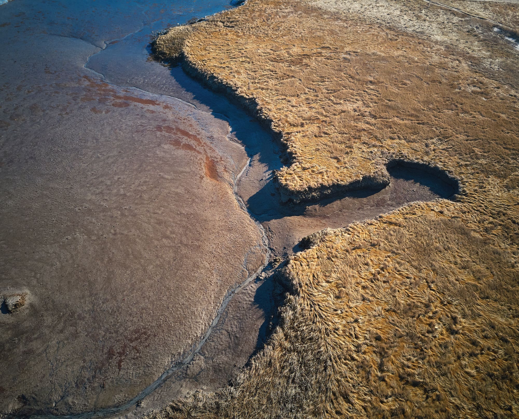 A bird's eye view of the Rachel Carson National Wildlife Refuge where a lead ammunition ban will go into place.