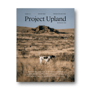 The winter 2024 cover of Project Upland magazine features a Pointer on the New Mexican landscape