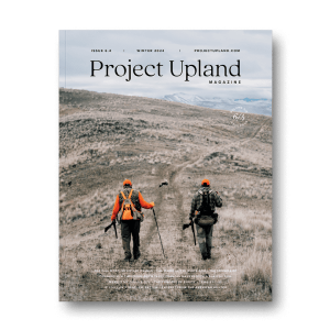 The cover of the Winter 2024 Project Upland Magazine features a father and son hunting with a Small munsterlander for wild chukar in the west.