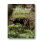 Wirehaired Pointing Griffon on a magazine cover