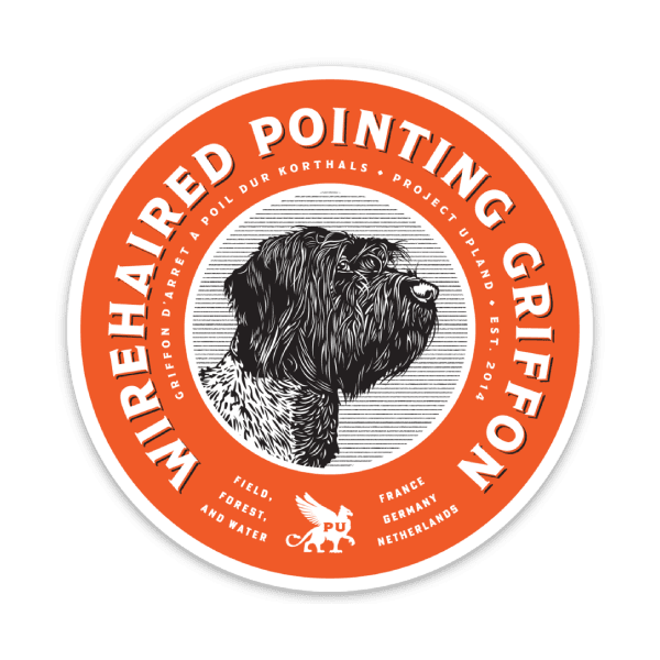 Wirehaired-Pointing-Griffon-Sticker A wirehaired pointing griffon sticker made with premium vinyl