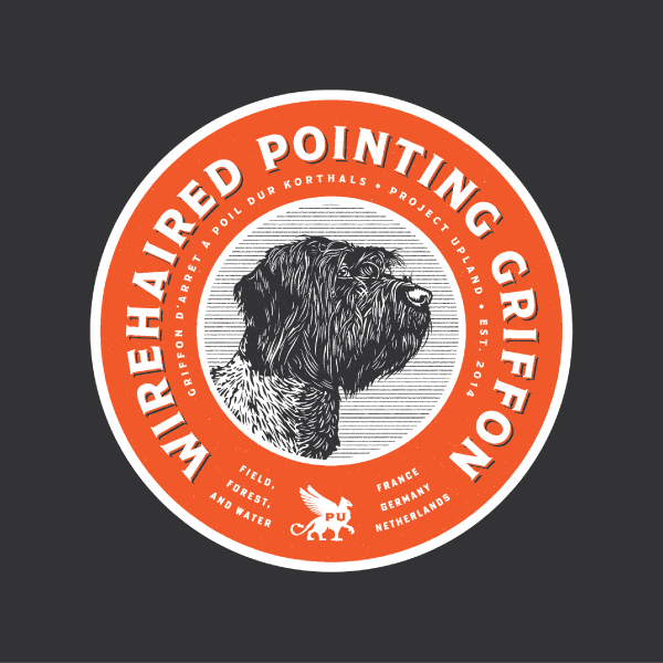 Wirehaired-Pointing-Griffon-T-shirt-design-close-up Close up of the wirehaired pointing griffon t-shirt design