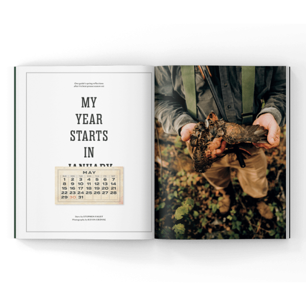 Woodcock-Hunting-Magazine Woodcock hunting in a magazine