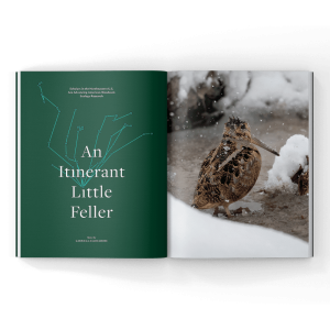 Woodcock Research in a magazine with Dr Eric Bloomberg