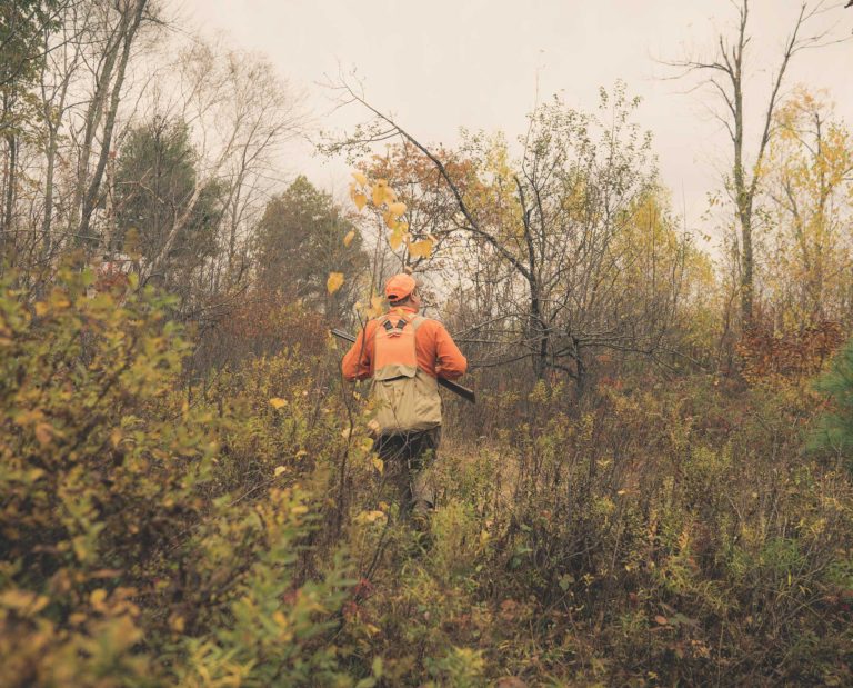 A bird hunter out hunting ruffed grouse in Pennsylvania.