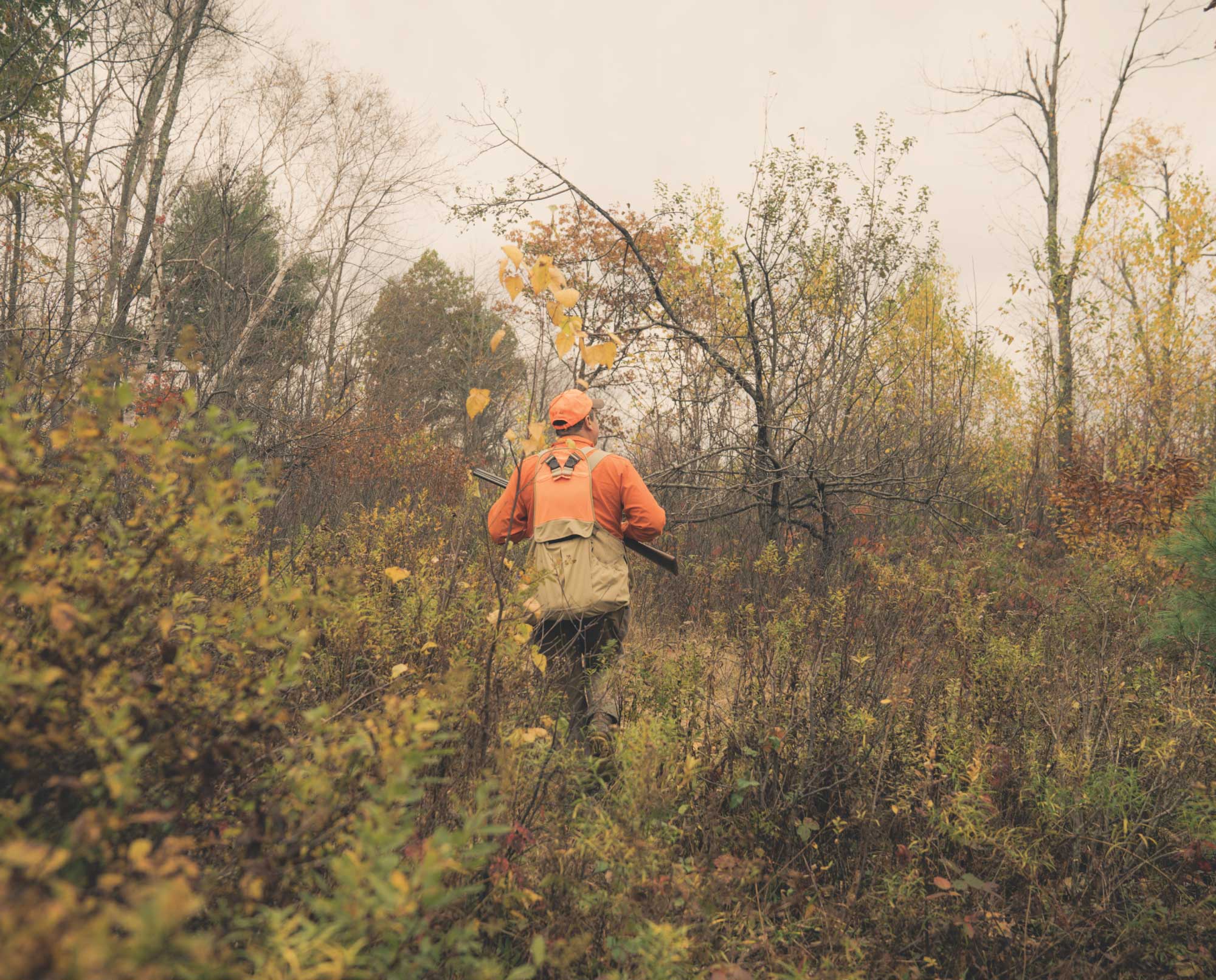 A bird hunter out hunting ruffed grouse in Pennsylvania.