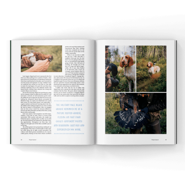 capercaillie-hunting-magazine capercaillie hunting in a magazine