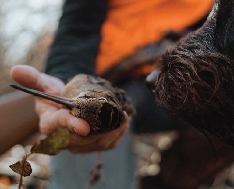 Filmmaker A.J. DeRosa with his wirehaired pointing griffon during their first season together.