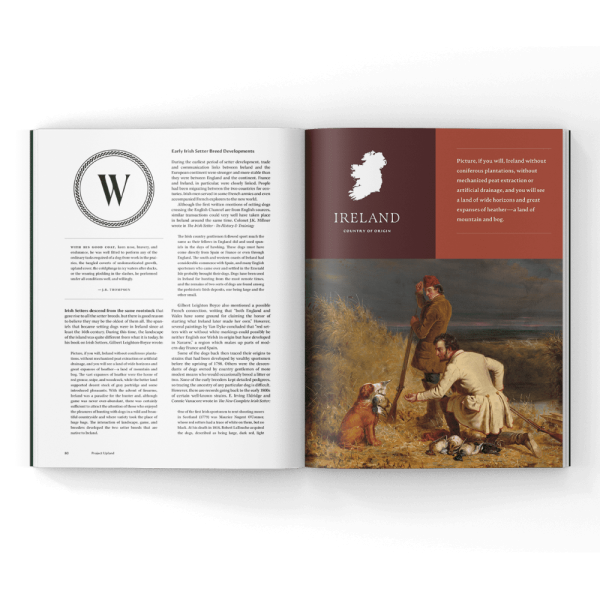 hunting-in-ireland-magazine hunting in Ireland in a magazine