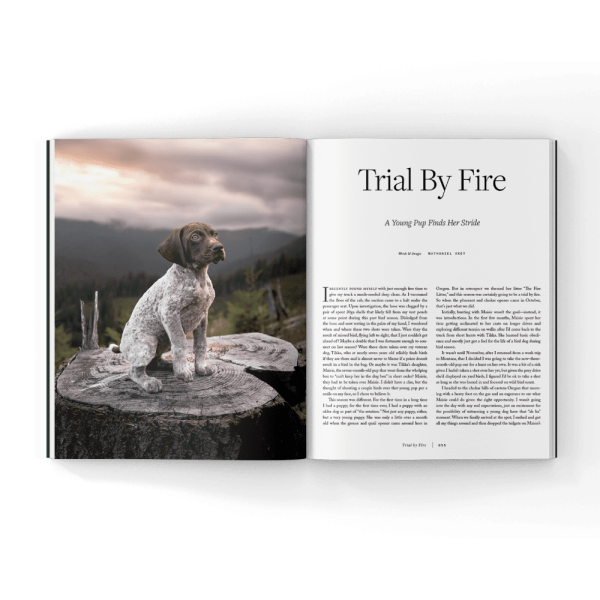 hunting-puppies-book hunting-puppies-book