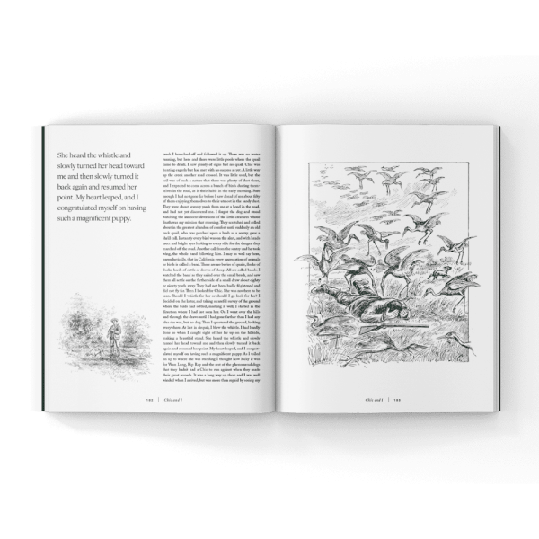 old-bird-hunting-story-book old-bird-hunting-story-book