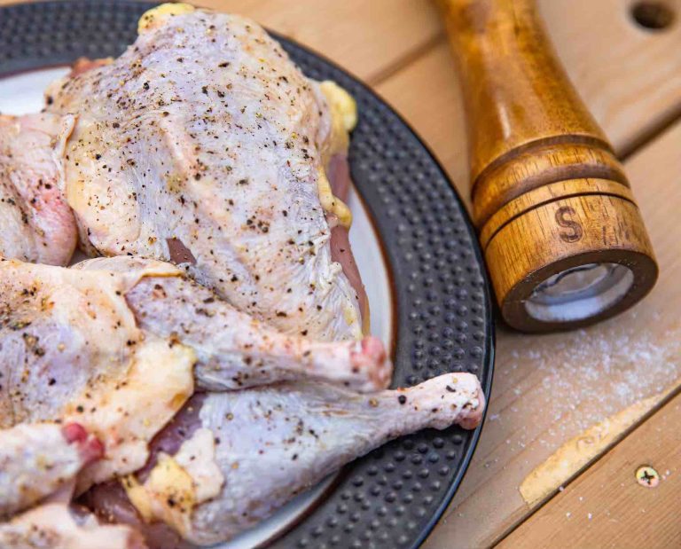 A plate with wild game meat and a salt shaker to enhance flavor
